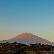 Update on Malawi and Tanzania