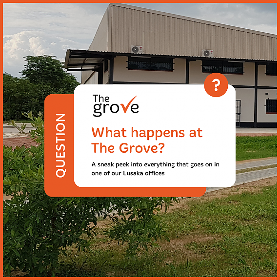 Click the image below to read more about The Grove on our blog