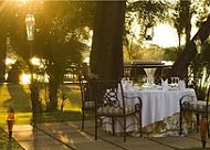 The Royal Livingstone Valentine Special